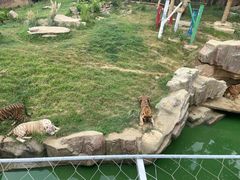 -无锡动物园·太湖欢乐园