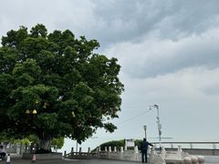 -巢湖姥山岛