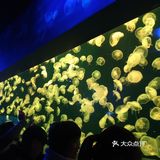 珠海长隆海洋王国
