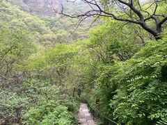 -老象峰