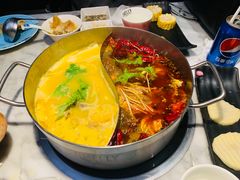 -澳美徕·港式花胶鸡火锅(高新万达店)