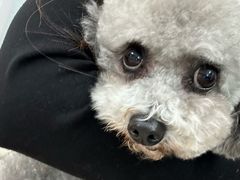 -爱侣宠医·鹦鹉专科·小型哺乳类·异宠专科(灵石路店)