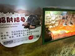 -广州长隆飞鸟乐园