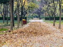 -洛阳市隋唐城遗址植物园
