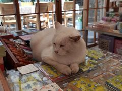 -猫的天空之城概念书店(苏州平江店)