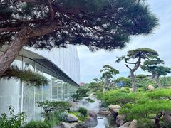 -罗红摄影艺术馆