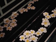 -Dragonfly悠庭·按摩Spa(静安嘉里中心店)