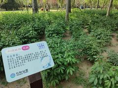 -仁和公园(顺义区)