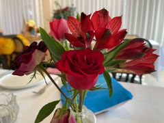 -HUATA 'Holiday Plan 花榻