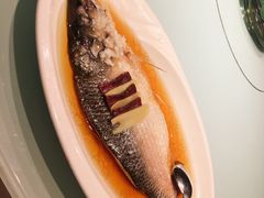 -苔圣园酒家(尊木汇国际艺术广场店)