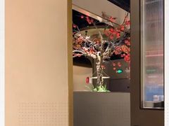 -佬肥猫(国华广场店)