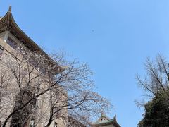 -武汉大学-樱园