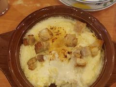 鸡肉奶汁焗饭-萨莉亚意式餐厅(深圳北站店)