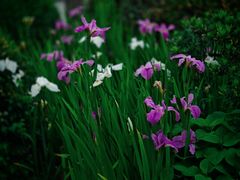 -苏州河梦清园环保主题公园