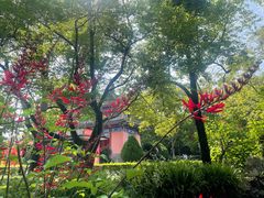 -成都武侯祠博物馆