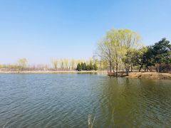 -大兴滨河森林公园