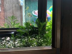 -春暖花开(西溪店)
