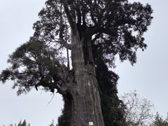 -云中大漈