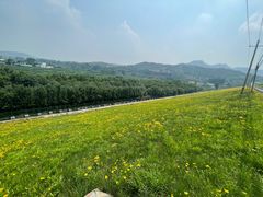 -雪野鱼头大王邢府公老店(雪野湖店)