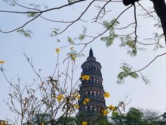 -顺峰山公园