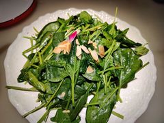 清汁孜然菠菜-枚青·临安酒肆(腾飞大厦店)