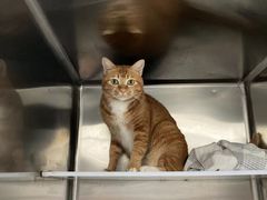 -拜鲁耶动物诊疗中心·宠家动物医院