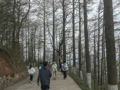 -莫干山风景区