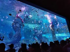 -哈尔滨波塞冬海底世界