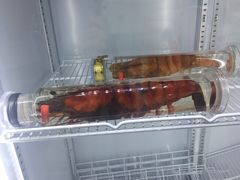 -蚝专家(北滘店)