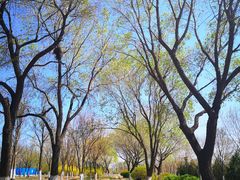 -永定河休闲森林公园