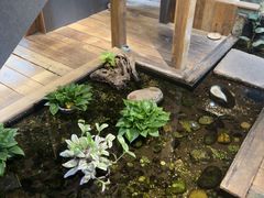 -邈墨茶馆(大兜路1号店)
