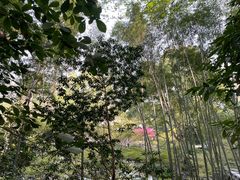 -杭州植物园