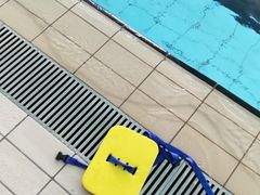 -小海豚国际游泳培训中心(浦东源深体育中心店)