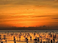 -南汇新城海滩