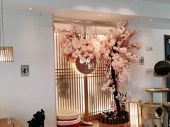 大堂-猫小主咖啡·猫咖cat cafe(福田店)