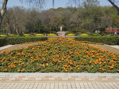 -赭山公园