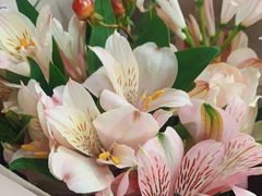 -La Tavernetta(Bar à Vin)(乌鲁木齐路店)