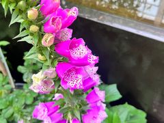 -肴约·花园式餐厅(湖里店)