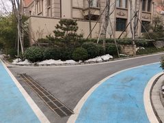 -长安先导国际创新人才交流中心