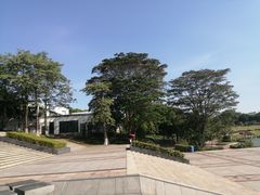 -东莞植物园