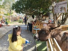 -HERRE·FARM 赫尔露营农场·团建聚会包场