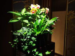 -天瑞轩·粤菜餐厅