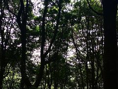 -西湖风景区十里琅珰-五云山