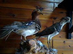 -南京金牛湖风景区