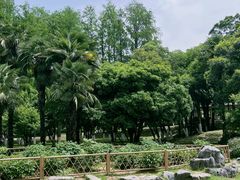 -南京古林公园
