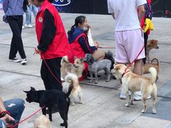 -皇庭广场(福华三路店)