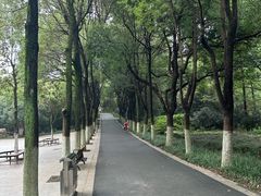-合肥野生动物园
