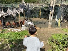 景观位-十碗香