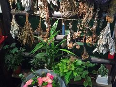 -西关84·History·Art·Cafe