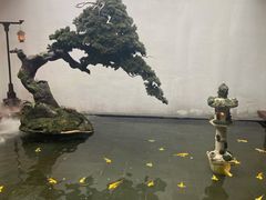 -觀芷隐轩